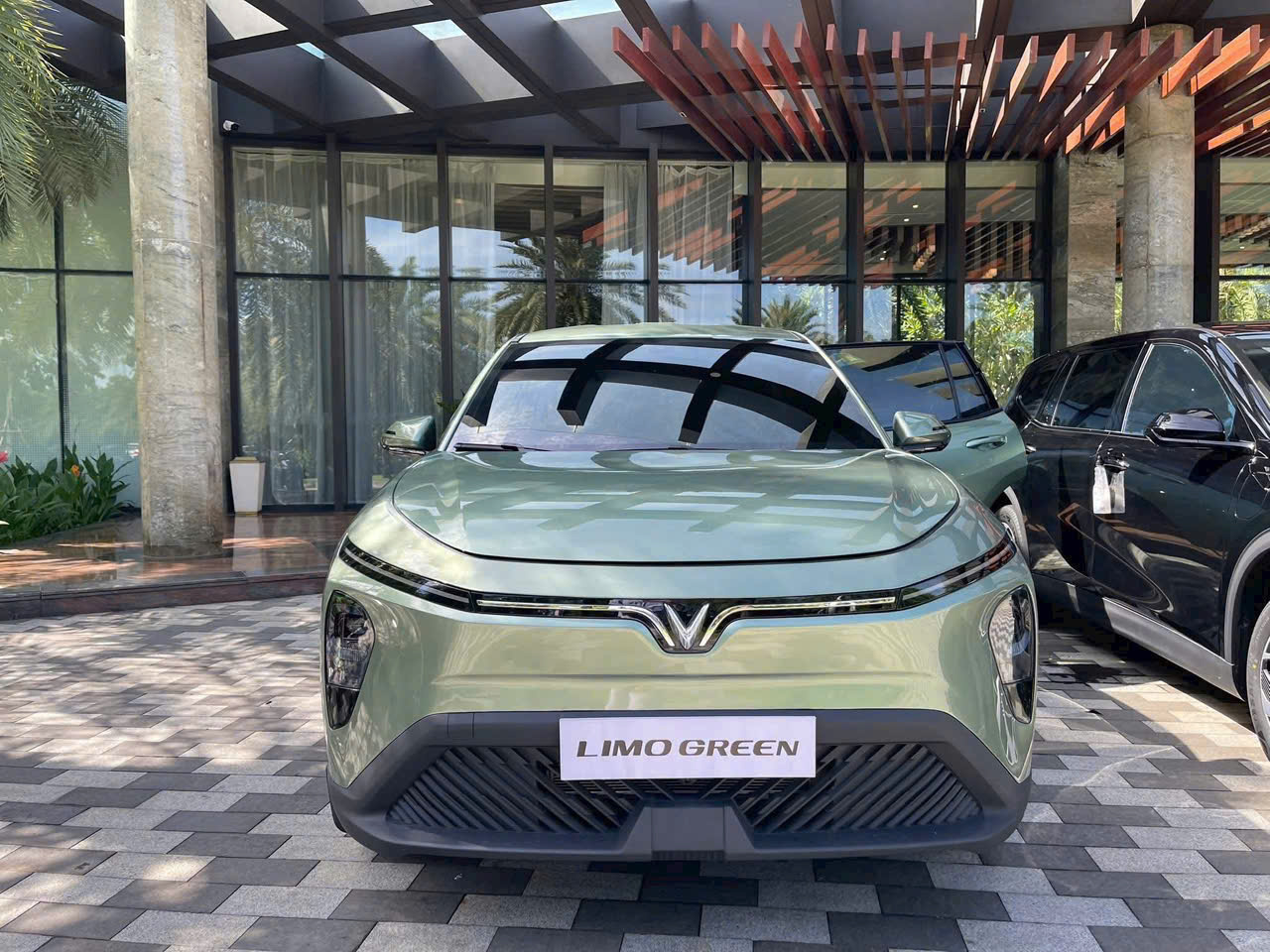 Chính sách VinFast Limo Green